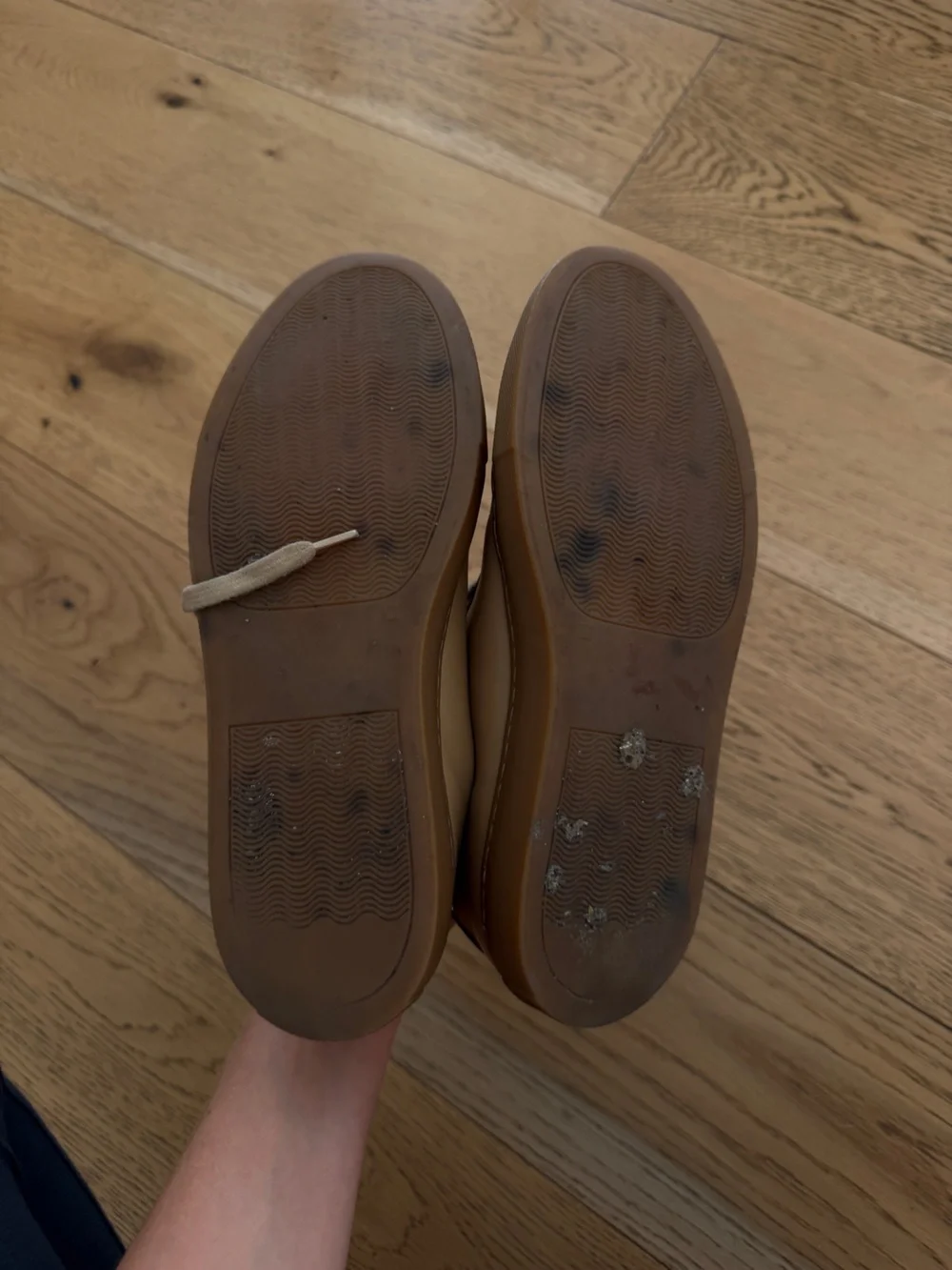 Common Projects Low-Top Leather Sneakers in Beige